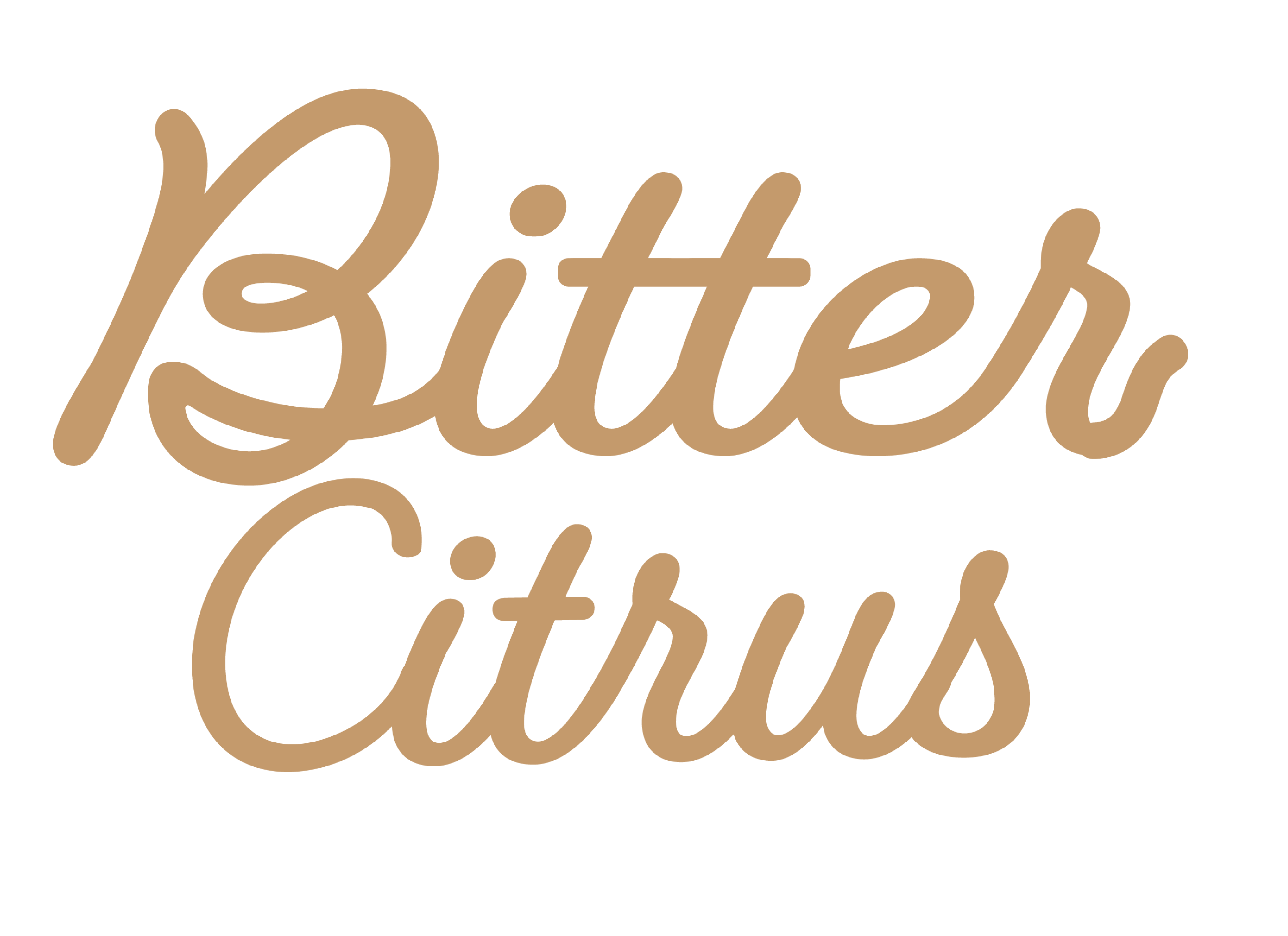 store logo