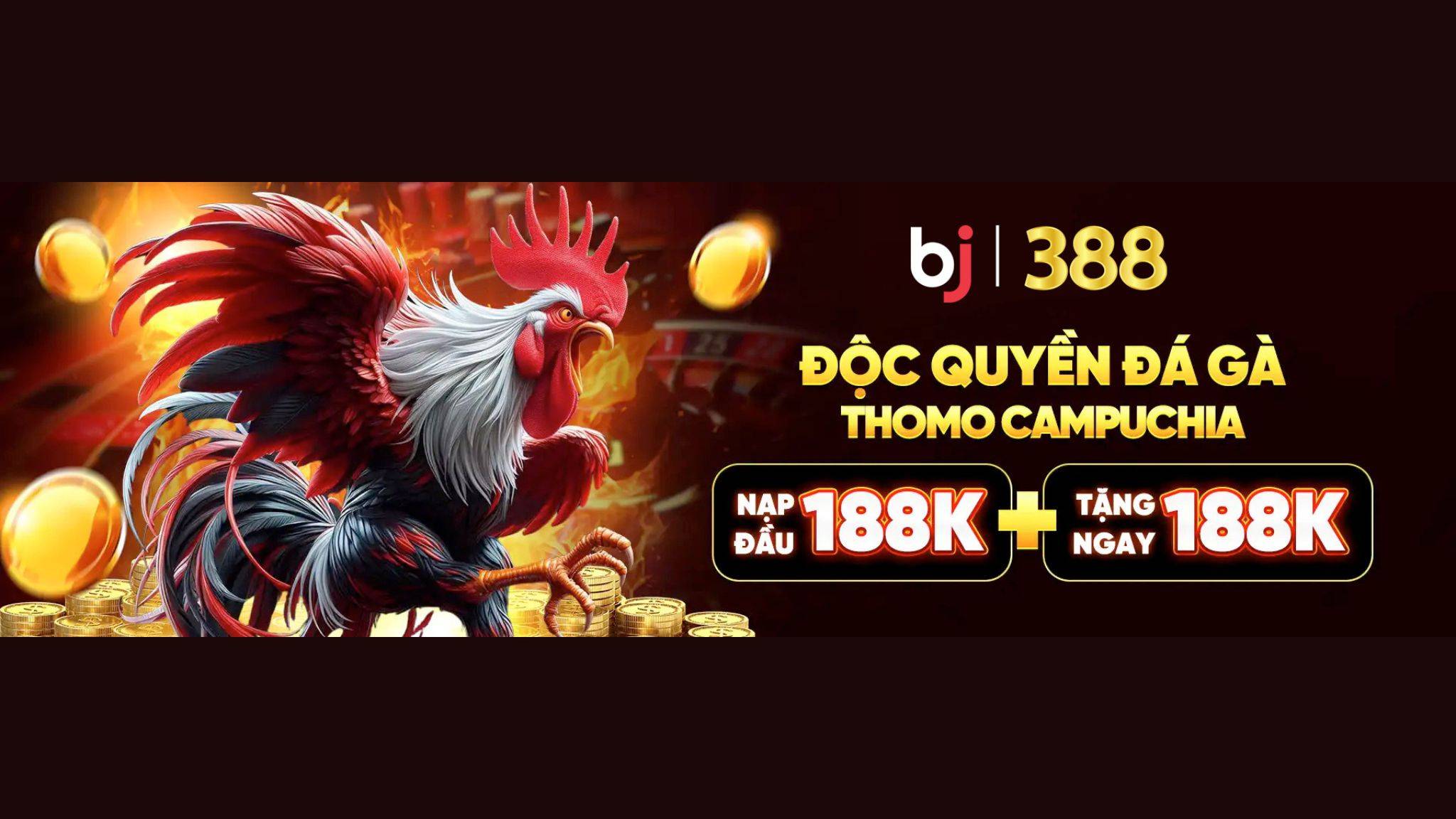 Hero Banner