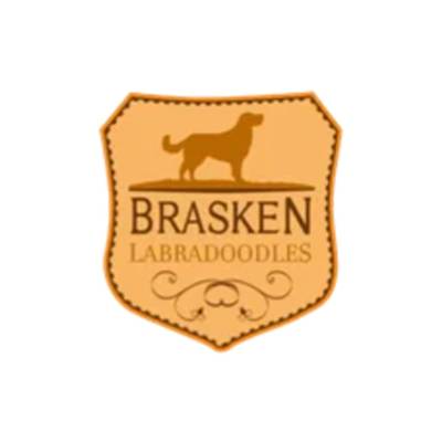 store logo