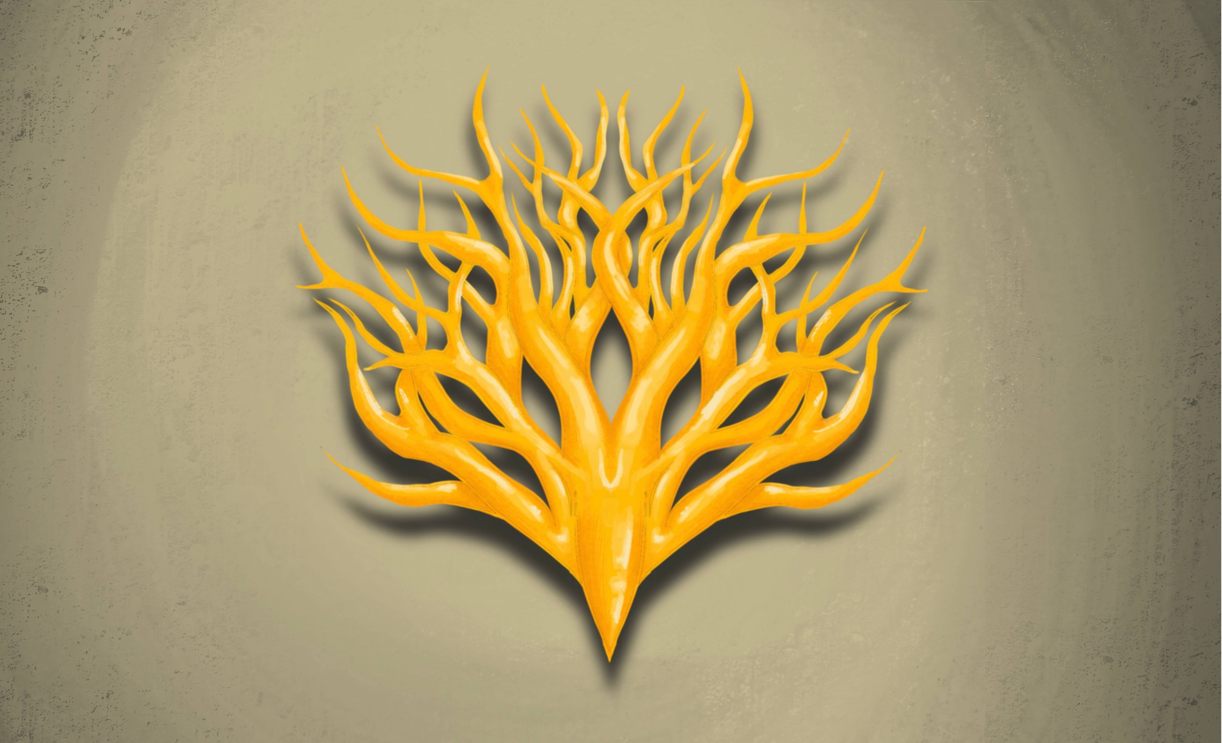 Hero Banner