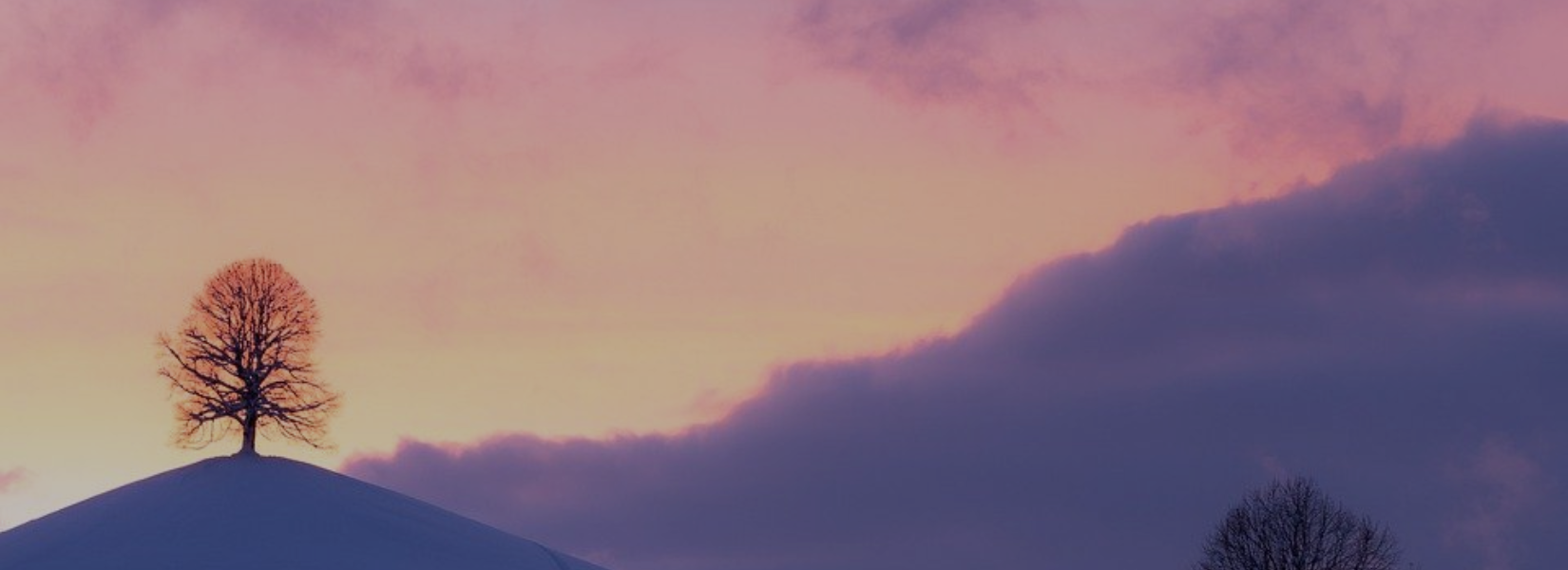 Hero Banner