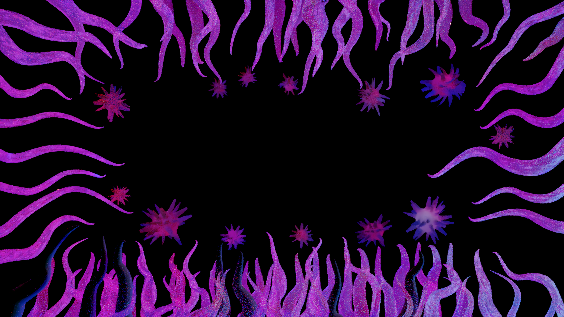 Hero Banner