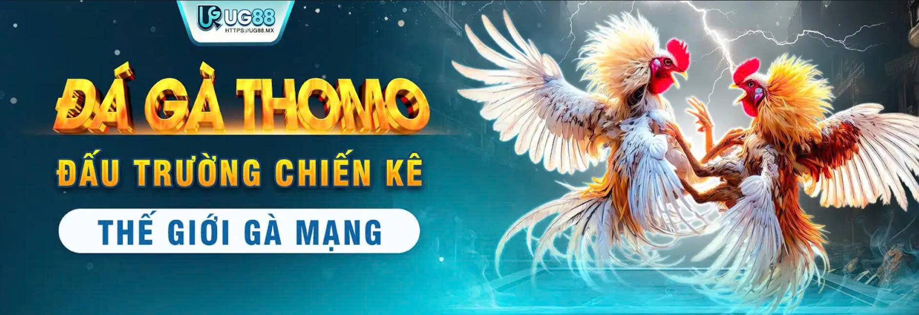 Hero Banner