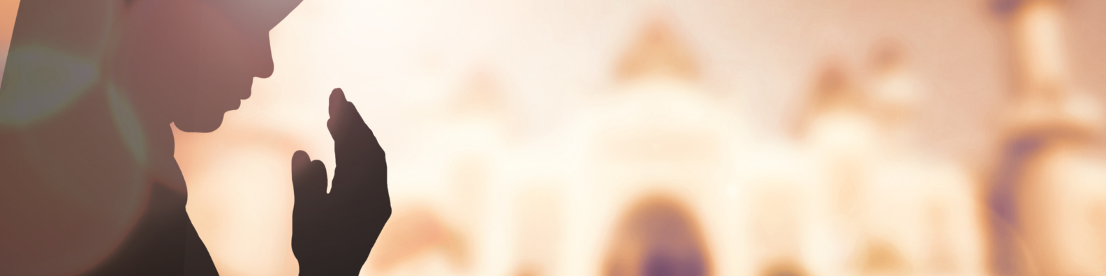 Hero Banner