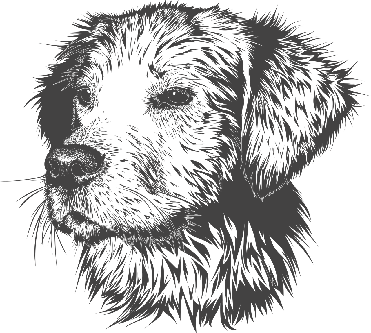 store logo