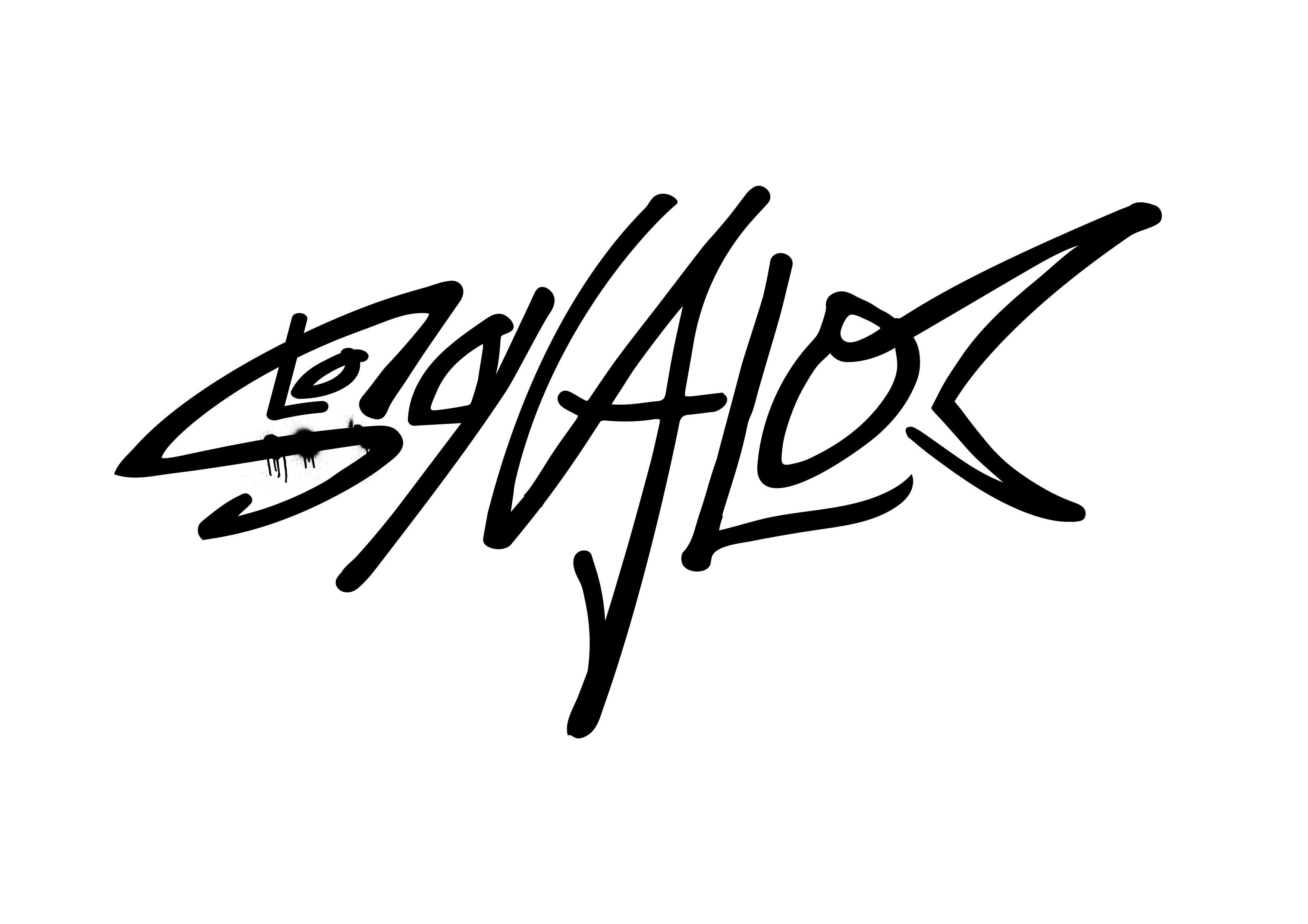 store logo