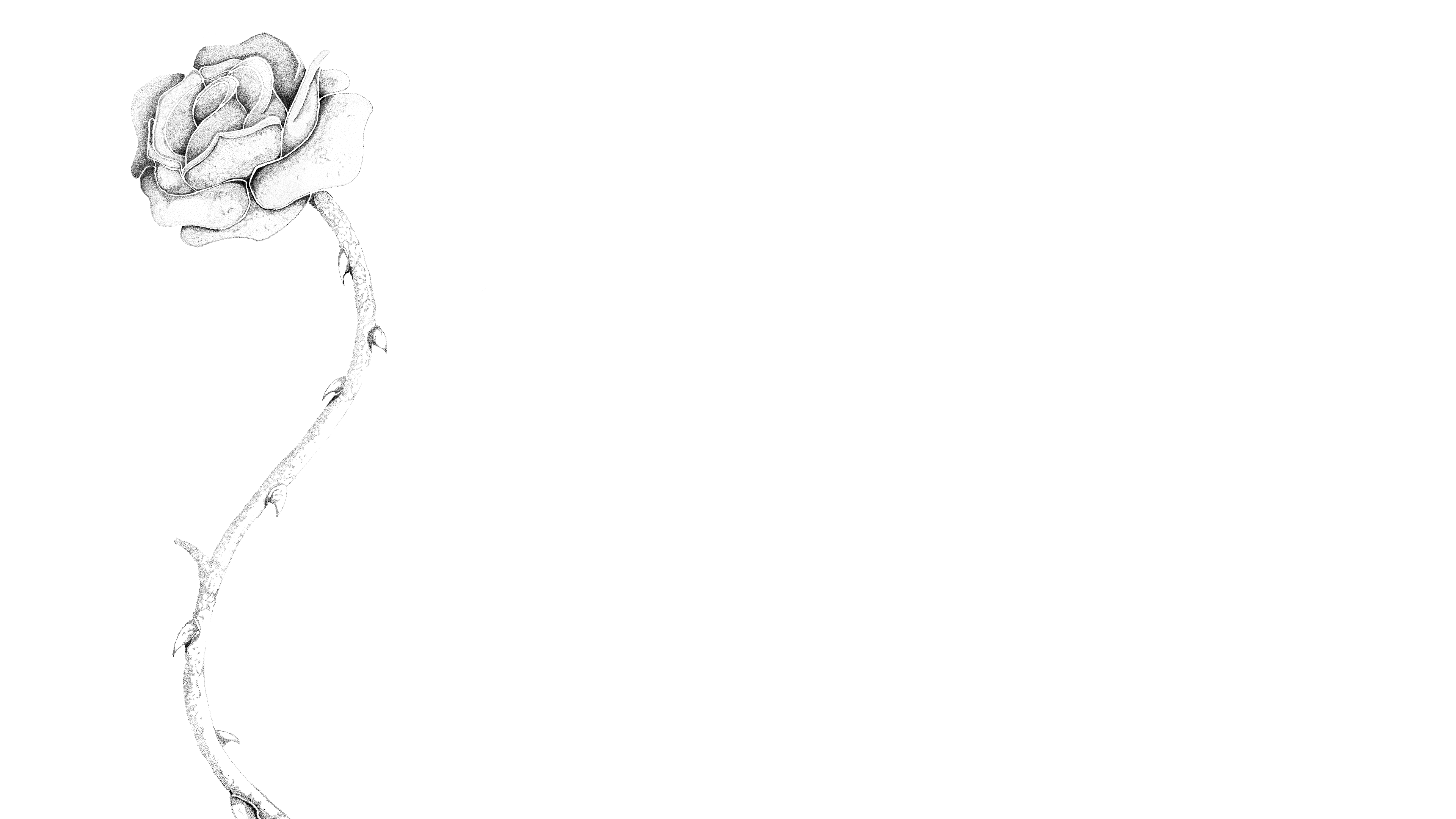 Hero Banner