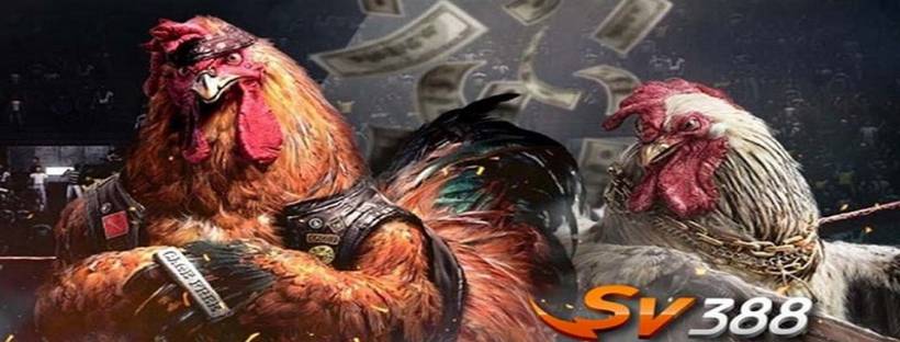 Hero Banner