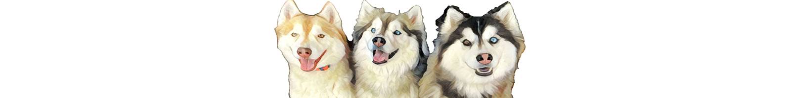 Hero Banner